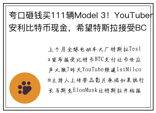 夸口砸钱买111辆Model 3！YouTuber安利比特币现金，希望特斯拉接受BCH支付